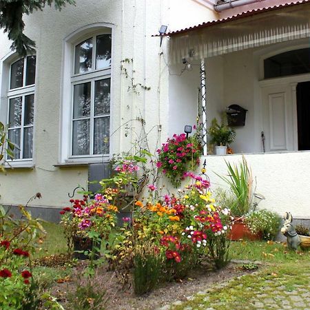 Ferienwohnung "Zur Alten Schule" Neuburxdorf Εξωτερικό φωτογραφία
